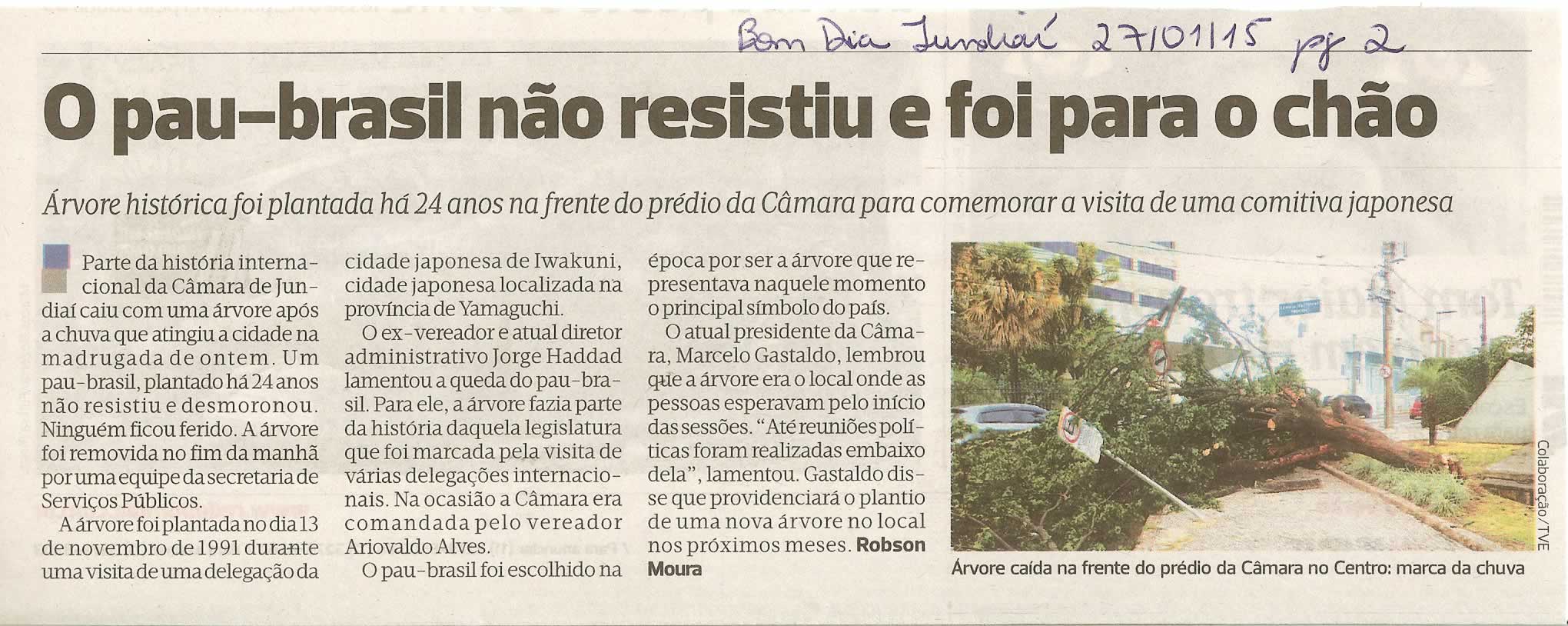 Bom Dia Jundiaí - 27/01/15 - pg 2 - O pau-brasil não resistiu e foi para o chão - 
