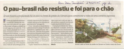 Bom Dia Jundiaí - 27/01/15 - pg 2 - O pau-brasil não resistiu e foi para o chão - 