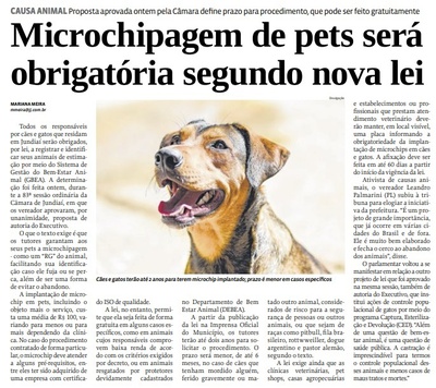 Microchipagem de pets será obrigatória segundo nova lei