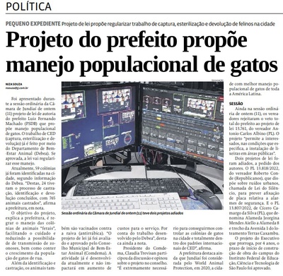 Projeto do prefeito propõe manejo populacional de gatos