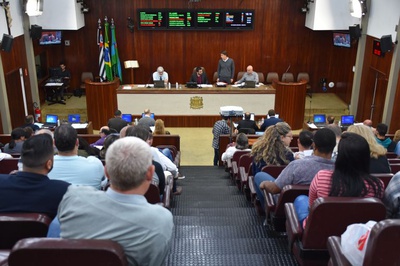 Aprovado projeto que visa conscientização sobre destinação correta de animais domésticos mortos