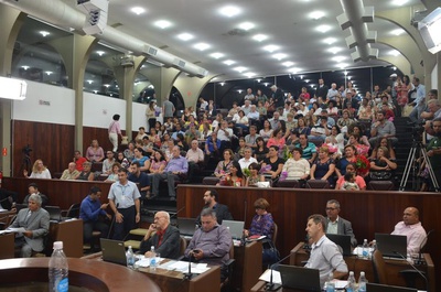 Câmara aprova projeto sobre corte de árvores