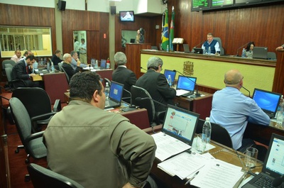 Câmara institui Dia de Conscientização da Síndrome de Down