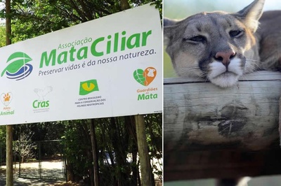 Câmara repudia venda do terreno da Associação Mata Ciliar pelo Governo de SP