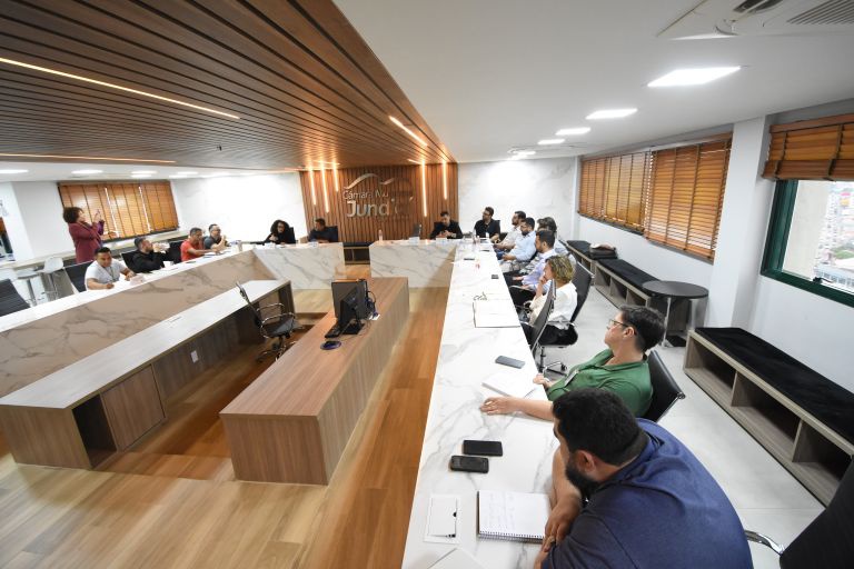 CPI Maria Luiza define informações e documentação a serem solicitadas aos órgãos de proteção da infância e da juventude