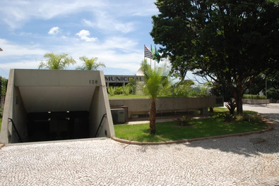 A árvore antes da queda