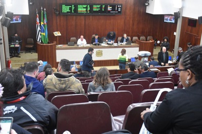 Vereadores apoiam políticas públicas de proteção à primeira infância 