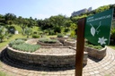 Jardim Botânico com o Paço Municipal ao fundo