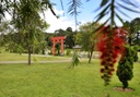 Jardim Japonês - Parque da Cidade