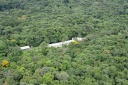 A exuberância da mata na Serra do Japi