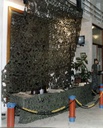 foto 01