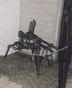 foto 01