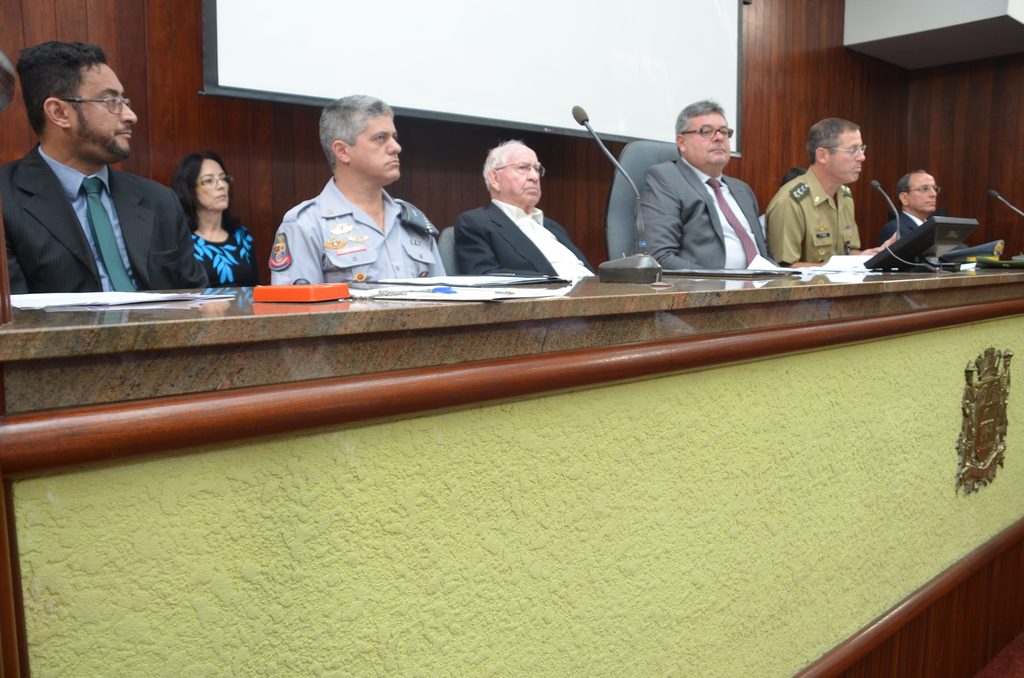 Dia da Vitoria 2014 (12)
